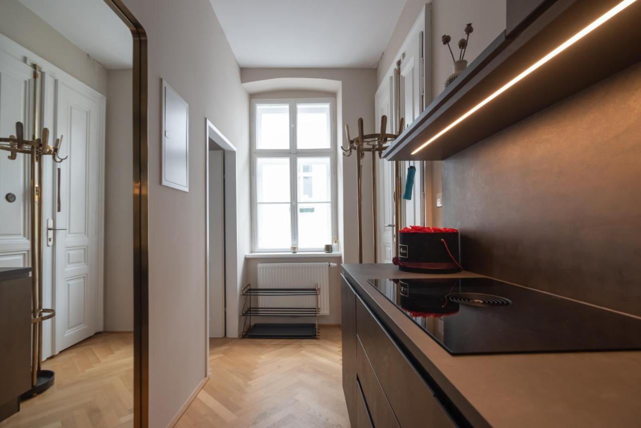 Hochwertiges Apartment Mit Direkter Anbindung Zum Zentrum In Hippen Viertel Виена Екстериор снимка